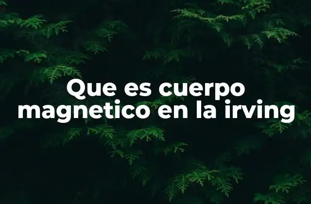 Que es Cuerpo Magnetico en la Irving