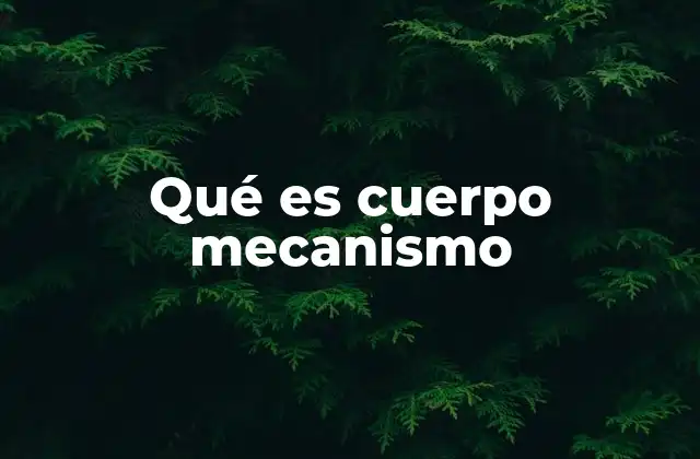 Qué es Cuerpo Mecanismo