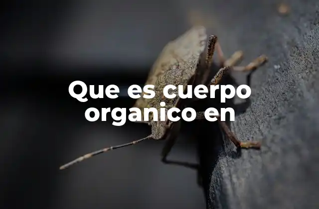Que es Cuerpo Organico en