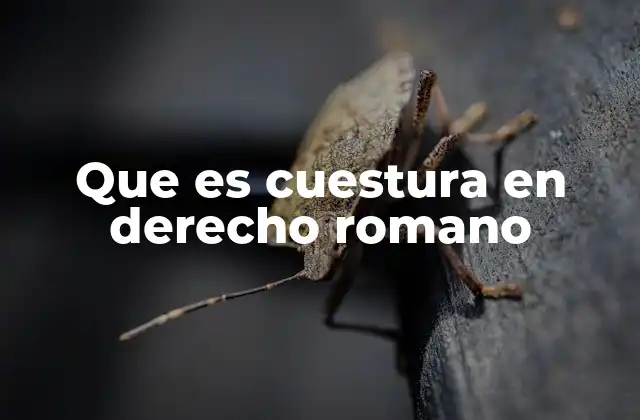 Que es Cuestura en Derecho Romano