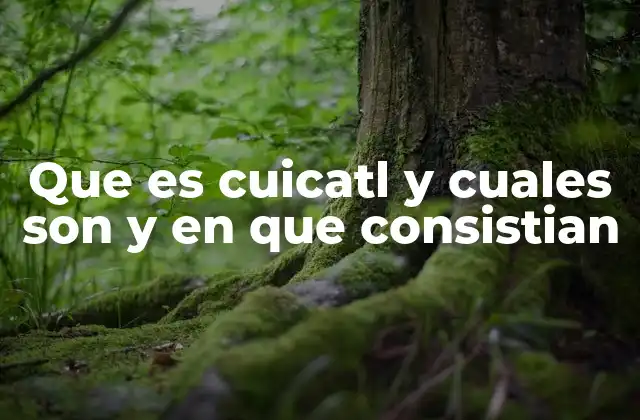 Que es Cuicatl y Cuales Son y en que Consistian