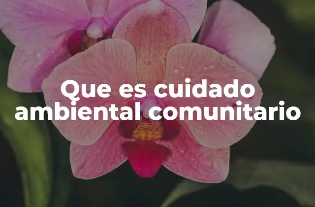 Que es Cuidado Ambiental Comunitario