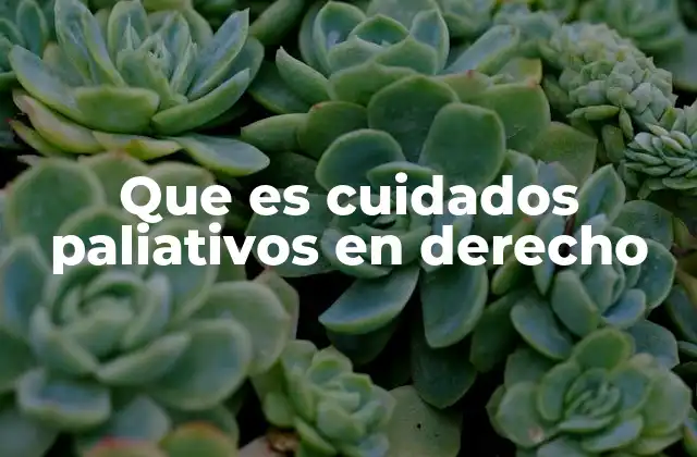 Que es Cuidados Paliativos en Derecho
