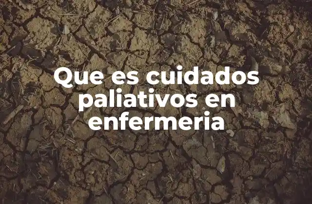 El rol de la enfermería en la atención a pacientes con enfermedades terminales