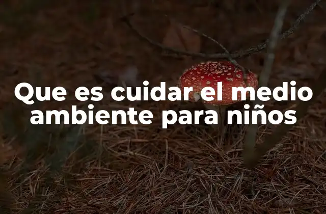 Que es Cuidar el Medio Ambiente para Niños
