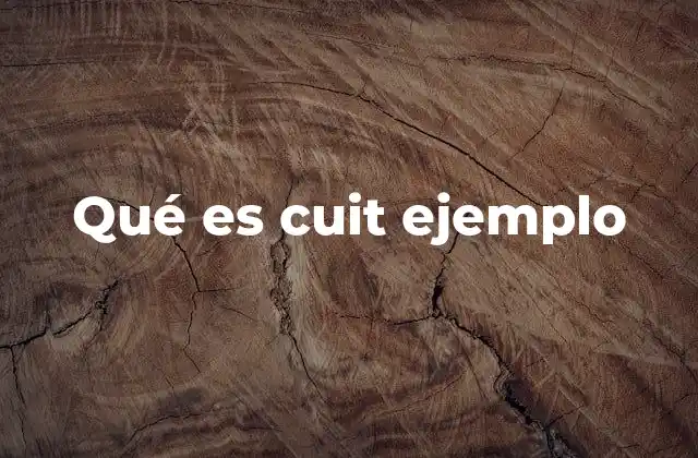 Qué es Cuit Ejemplo