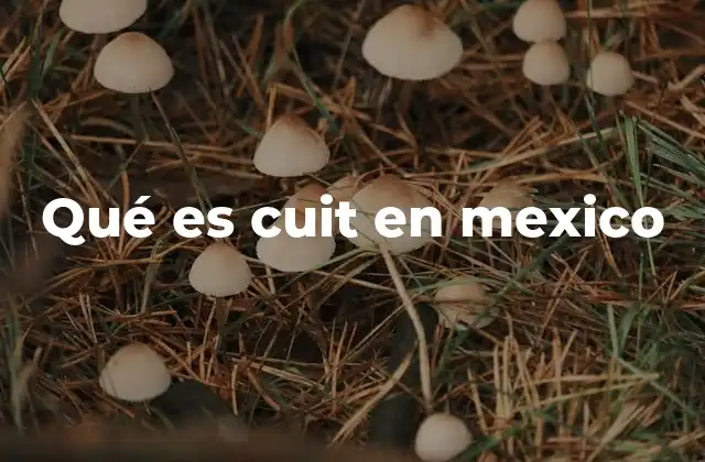 Qué es Cuit en Mexico
