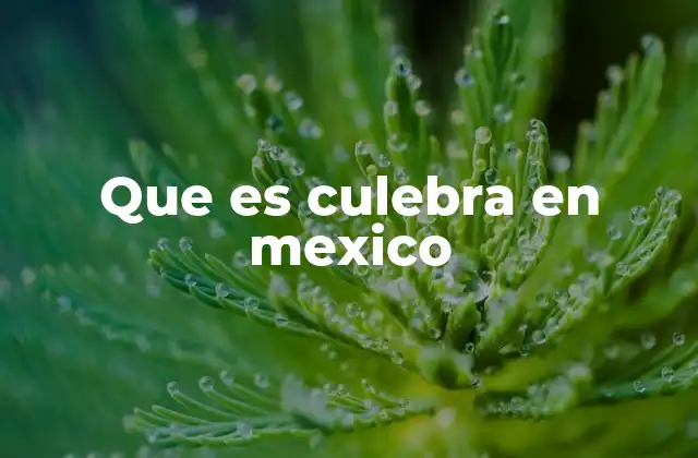 Que es Culebra en Mexico 2 La culebra como parte del patrimonio natural mexicano