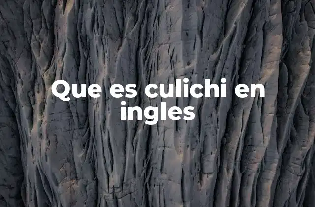 Que es Culichi en Ingles