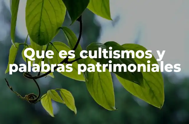 Que es Cultismos y Palabras Patrimoniales