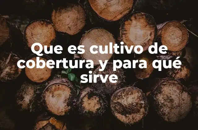 Que es Cultivo de Cobertura y para Qué Sirve