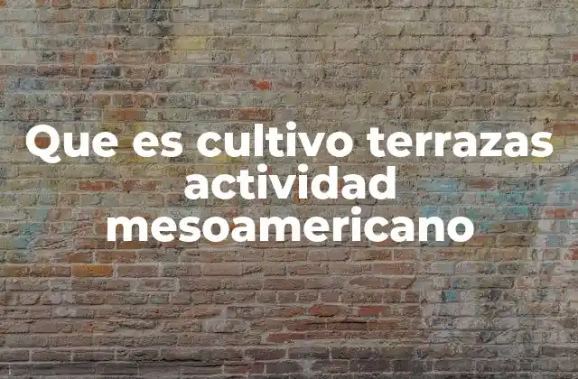 La evolución del terrazado como forma de adaptación al entorno