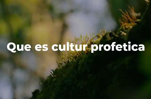 Que es Cultur Profetica