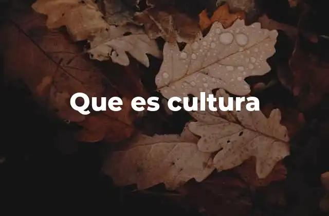 Que es Cultura
