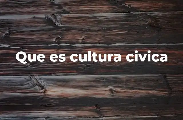Que es Cultura Civica