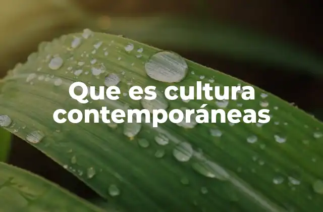 Que es Cultura Contemporáneas