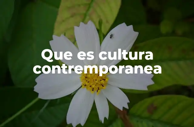 Que es Cultura Contremporanea