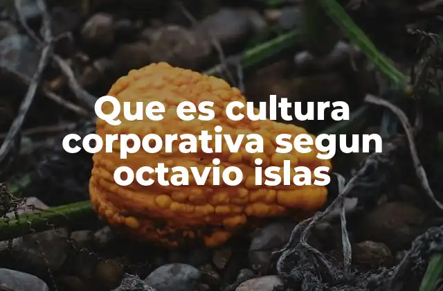 Que es Cultura Corporativa Segun Octavio Islas