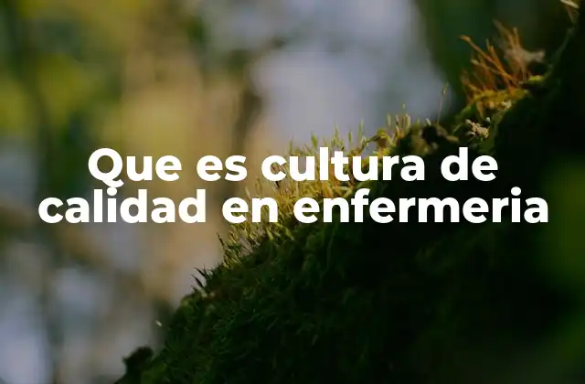Que es Cultura de Calidad en Enfermeria