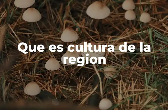 Que es Cultura de la Region