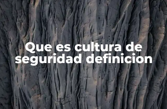 Que es Cultura de Seguridad Definicion