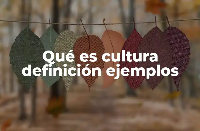 Qué es Cultura Definición Ejemplos