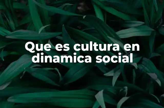 Que es Cultura en Dinamica Social