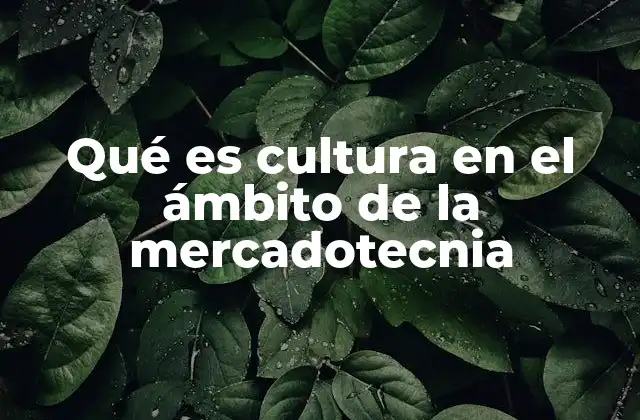 Qué es Cultura en el Ámbito de la Mercadotecnia
