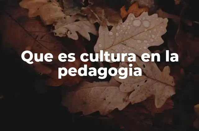 Que es Cultura en la Pedagogia