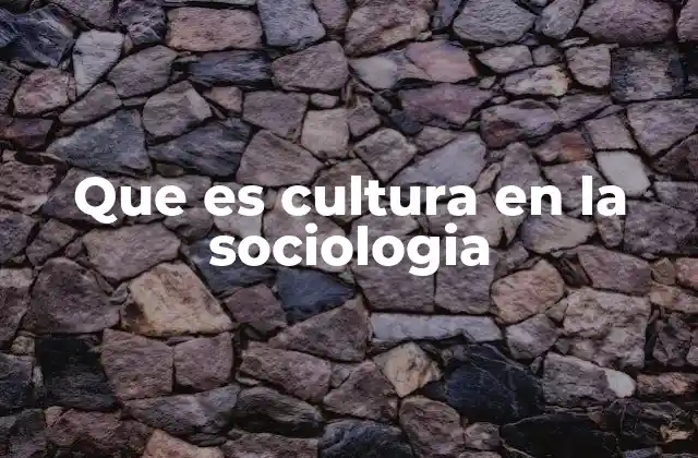 Que es Cultura en la Sociologia