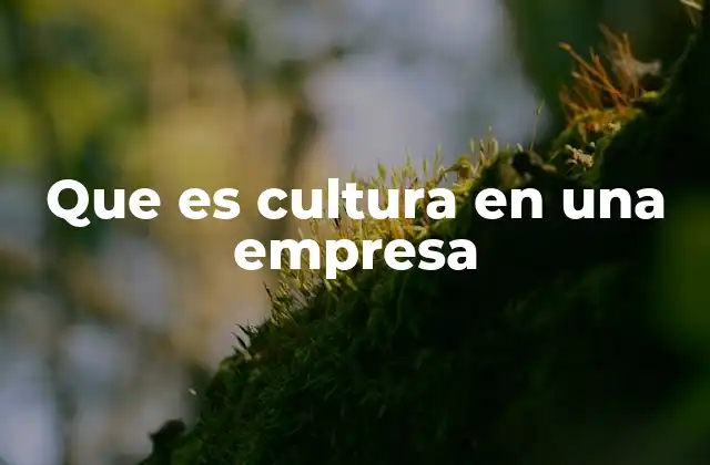 Que es Cultura en una Empresa