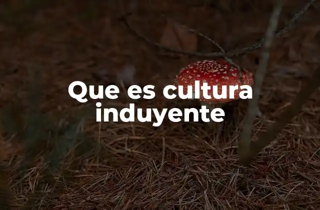 Que es Cultura Induyente