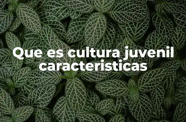 Que es Cultura Juvenil Caracteristicas
