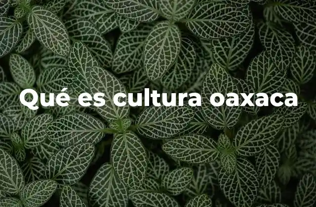 Qué es Cultura Oaxaca