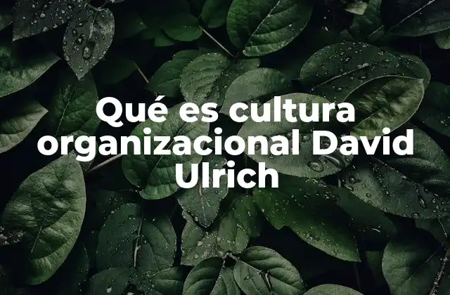 Qué es Cultura Organizacional David Ulrich