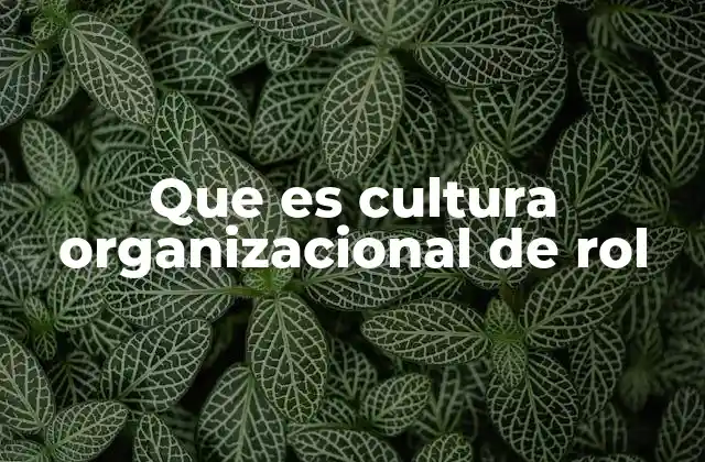 Que es Cultura Organizacional de Rol