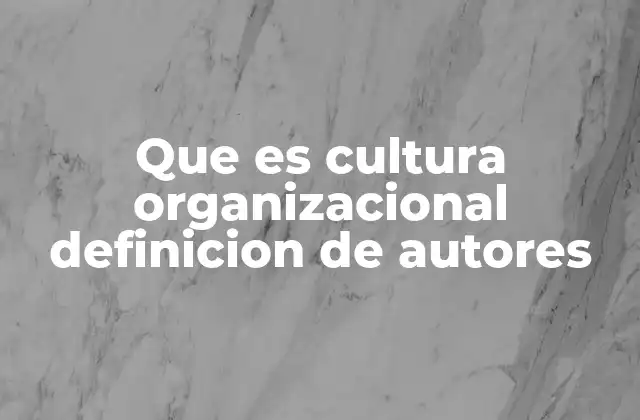Que es Cultura Organizacional Definicion de Autores