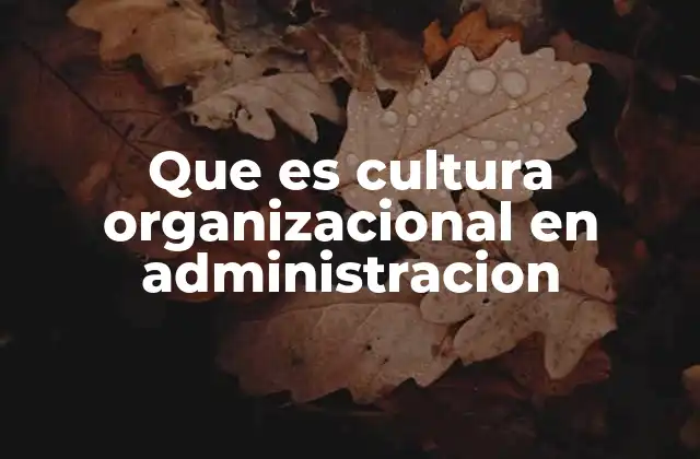 Que es Cultura Organizacional en Administracion
