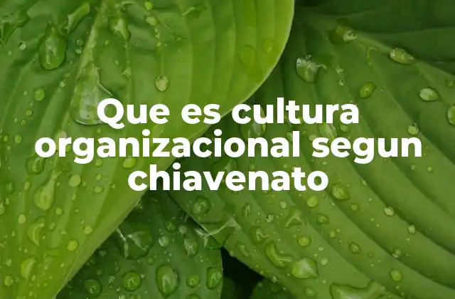 Que es Cultura Organizacional Segun Chiavenato