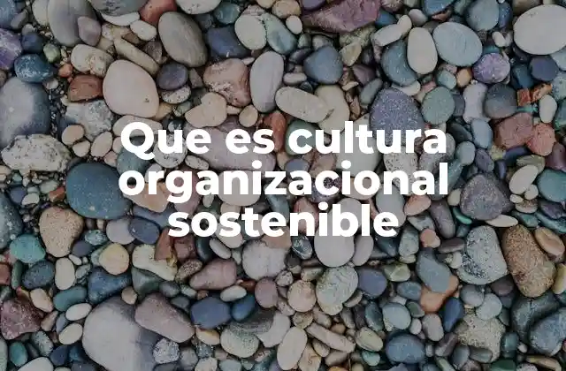 Que es Cultura Organizacional Sostenible