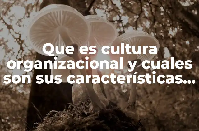 Que es Cultura Organizacional y Cuales Son Sus Características Comunes
