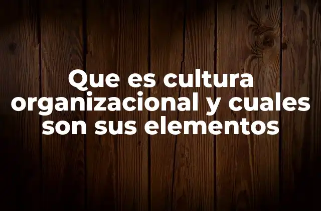 Que es Cultura Organizacional y Cuales Son Sus Elementos