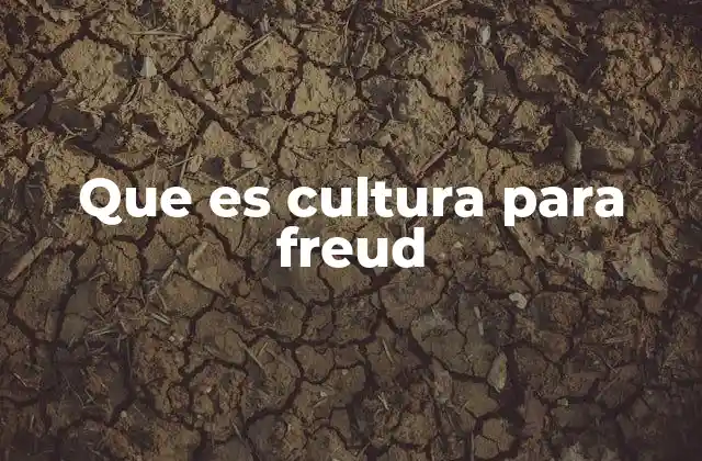 La cultura como regulador de pulsiones en la teoría freudiana