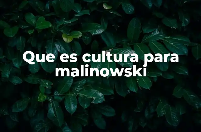 La cultura como sistema funcional