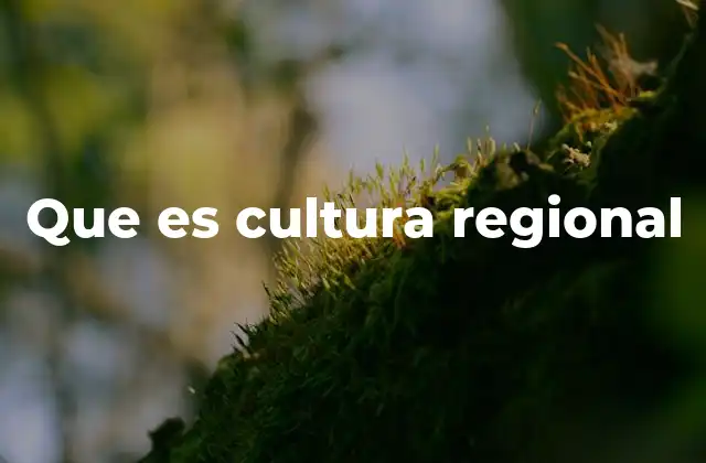 Que es Cultura Regional
