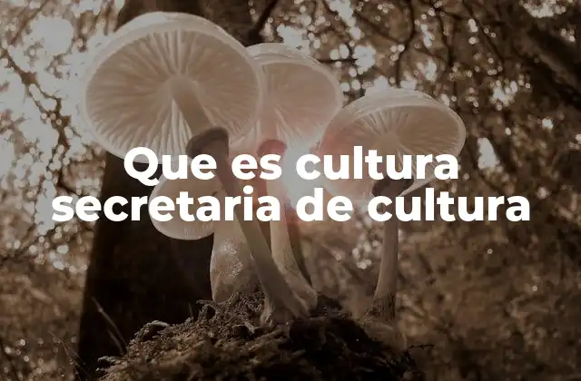Que es Cultura Secretaria de Cultura