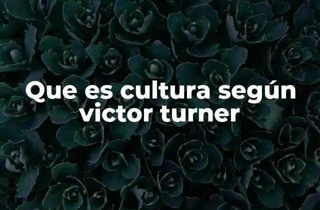 Que es Cultura según Victor Turner