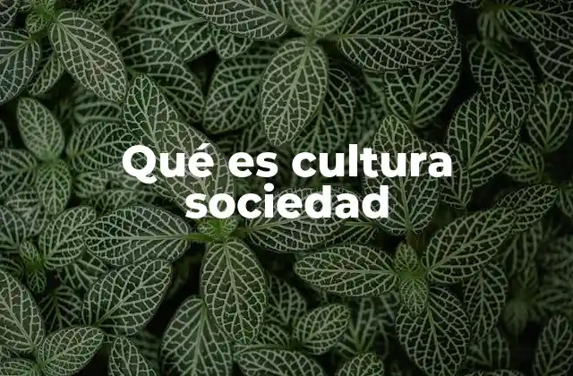 Qué es Cultura Sociedad