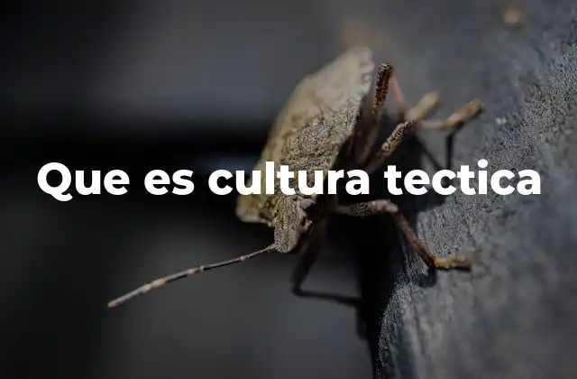 Que es Cultura Tectica