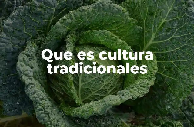 Que es Cultura Tradicionales